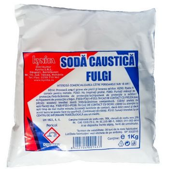Soda caustica 1kg  CAL II-1