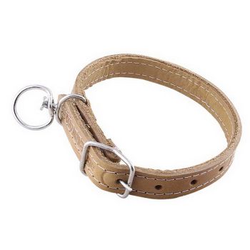 Curea caine piele  2.5x50CM  Lacuita-1
