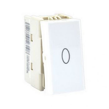 Modul - intrerupator cu revenire-1