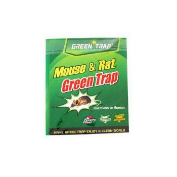 Carton cu lipici - tip carte Green trap-1