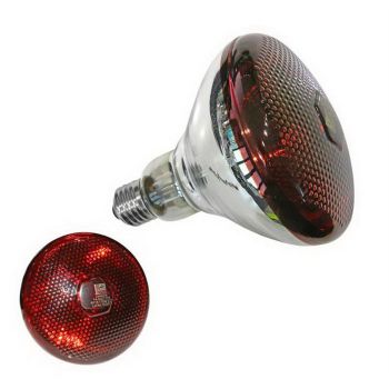 Bec infrarosu E27 175W Dablo-1