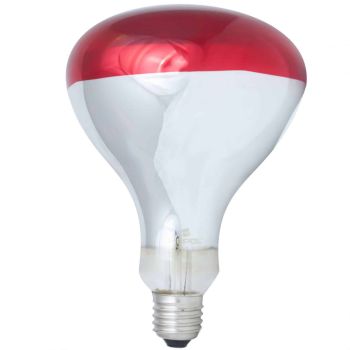 Bec infrarosu E27 100W Hepol-1